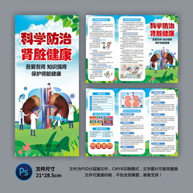 医院三折页 肾脏健康