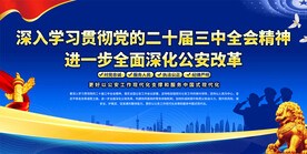 学习贯彻二十届三中全会精神展板