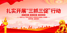 扎实开展三抓三促行动 