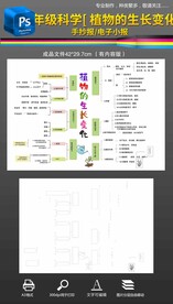四年级植物的生长变化思维导图