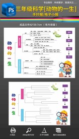二年级科学动物的一生思维导图