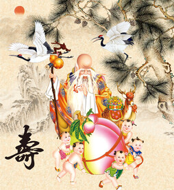 老寿星