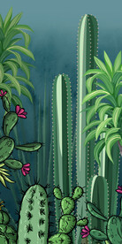 现代简约仙人掌玄关