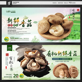 香菇海报