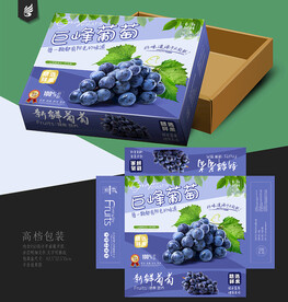 葡萄包装 巨峰礼盒