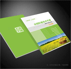 水稻封面