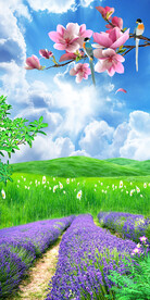 田园风景熏衣草玄关背景墙