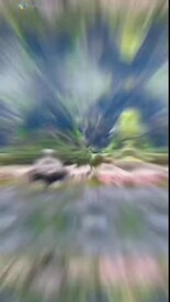 漓江张家界猛洞河漂流