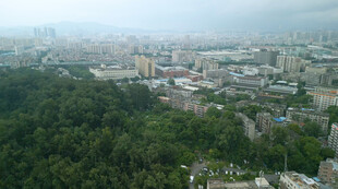 俯瞰有树林的城市前进航拍