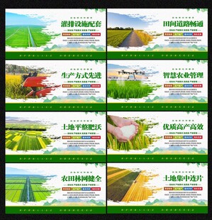 高标准农田建设