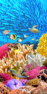 底世界鱼群海龟3D玄关