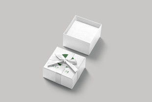 戒指盒样机