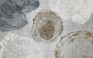 北欧木轮年轮灰色复古背景墙
