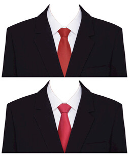 男人男士红领带西装证件照衣服素