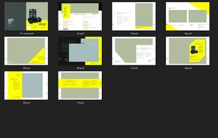 国际视野下的设计典范