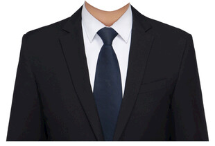 男人西装正装证件照衣服素材