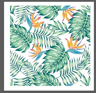 热带雨林植物无缝图案图片