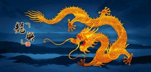 龙金龙飞龙