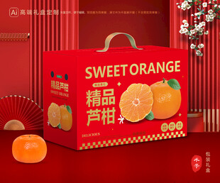 芦柑包装 椪柑礼盒