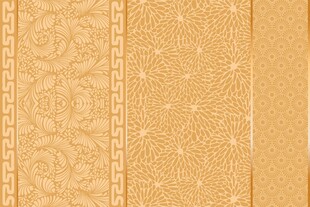 中国风国潮菊花底纹花纹免抠元素