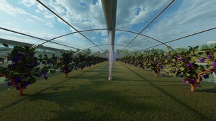 种植大棚内部设计案例效果图