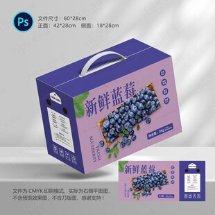 蓝莓包装彩箱