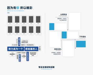 公司文化墙 荣誉墙 照片墙