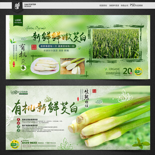 茭白