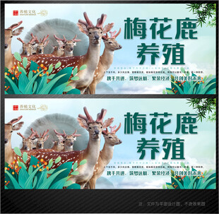 梅花鹿展板