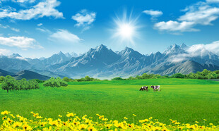 蓝天白云大草原