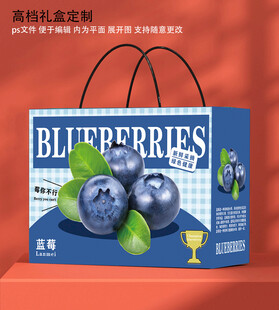 蓝莓礼盒