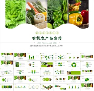 有机绿色水果生鲜营养蔬菜PPT