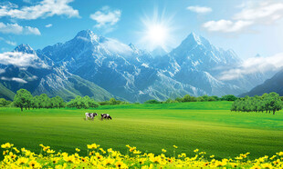 蓝天白云大草原