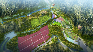 农业生态园设计案例鸟瞰图