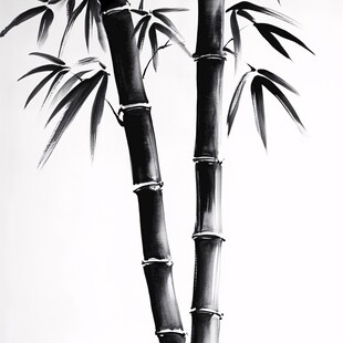 竹子黑白画素材-竹子黑白画图片-竹子黑白画设计模板-昵图网 