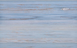 高琼蓝灰色木纹纹理