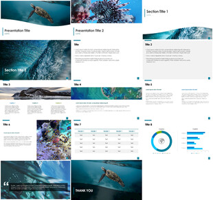 蓝色海洋海龟高档极简风格PPT