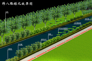 道路绿化效果图