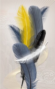 羽毛装饰画