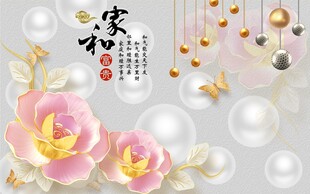 家和万事兴电视背景墙