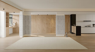 现代客厅背景墙空景