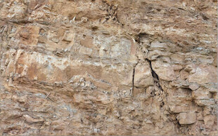 高清红褐色斑驳岩石纹理