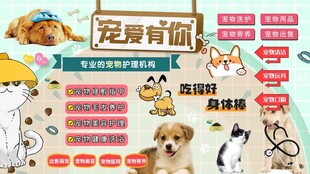 宠物之家背景墙