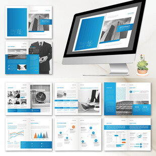 蓝色商务画册ID设计模板