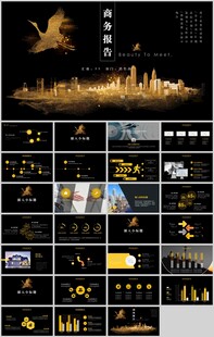 商务报告PPT