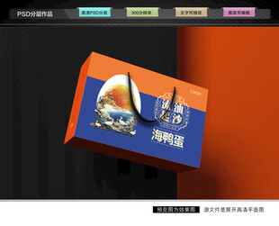 海鸭蛋礼盒 咸鸭蛋包装