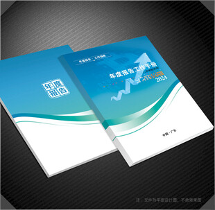 年度报告封面