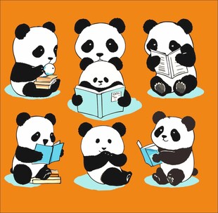 学习的熊猫