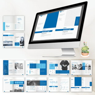 品牌指南提案宣传画册ID模板