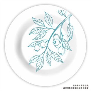 蓝莓陶瓷餐具插画